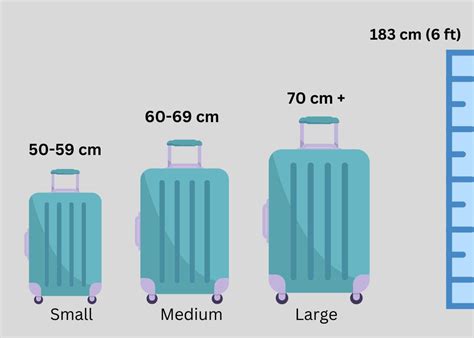 trolley bag sizes in inches